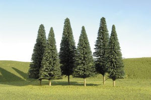 5"-6" Conifer Trees 6/Pack