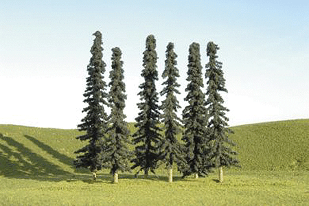 4" - 6" Conifer Trees 24/PK