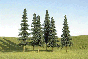 4"-6" Spruce Trees (24)
