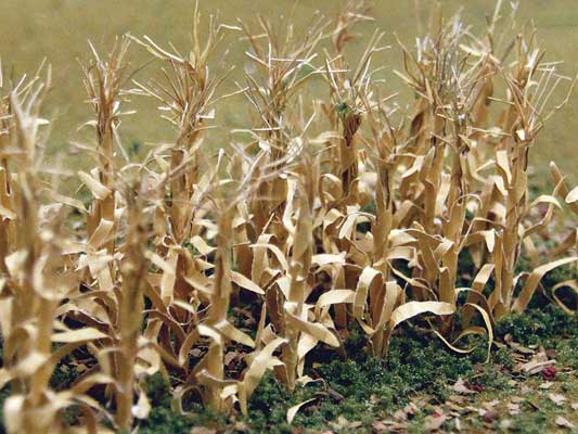 HO Dried Corn Stalks
