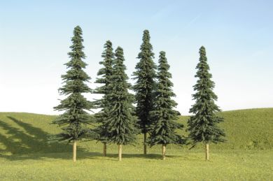 N 3"-4" Spruce Trees 9/
