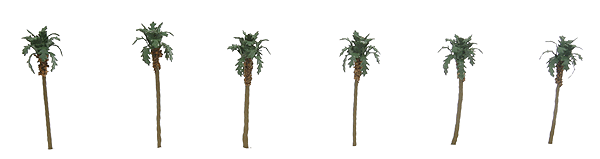 Z Palm Tree 1.5" (6 PC)