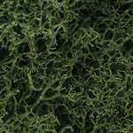 Medium Green Lichen- 1.5