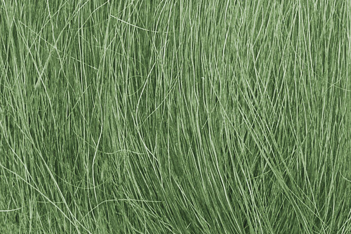 Field Grass- Medium Green