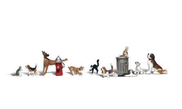 N Dogs & Cats (12 PK)
