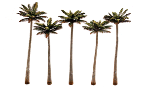 N,HO,O Palm Trees Large 5/PK