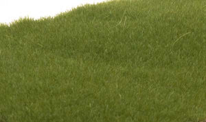 Static Grass Dark Green 2mm