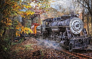 Trains Coming 1000 PC Puzzle