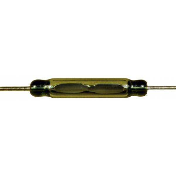 Reed Switch (2/pk)